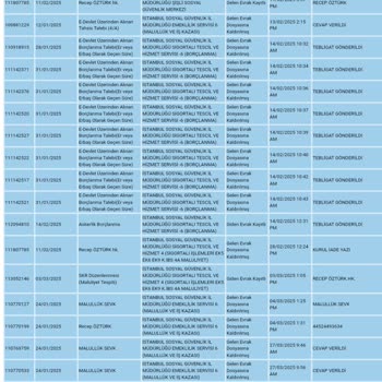 Engelli Emeklilik Sürecinde Bilgilendirme Ve İletişim Eksikliği