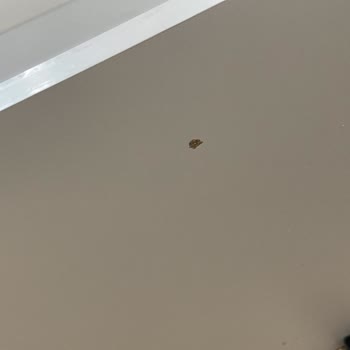 Sipariş Verilen Mobilyaların Teslimatında Ve Kalitesinde Sorunlar Yaşadım