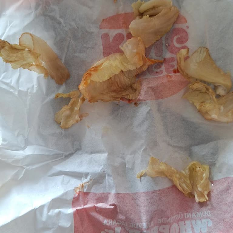 Burger King Vişnelik'te Taze Olmayan Ürünler Ve Sipariş Hataları