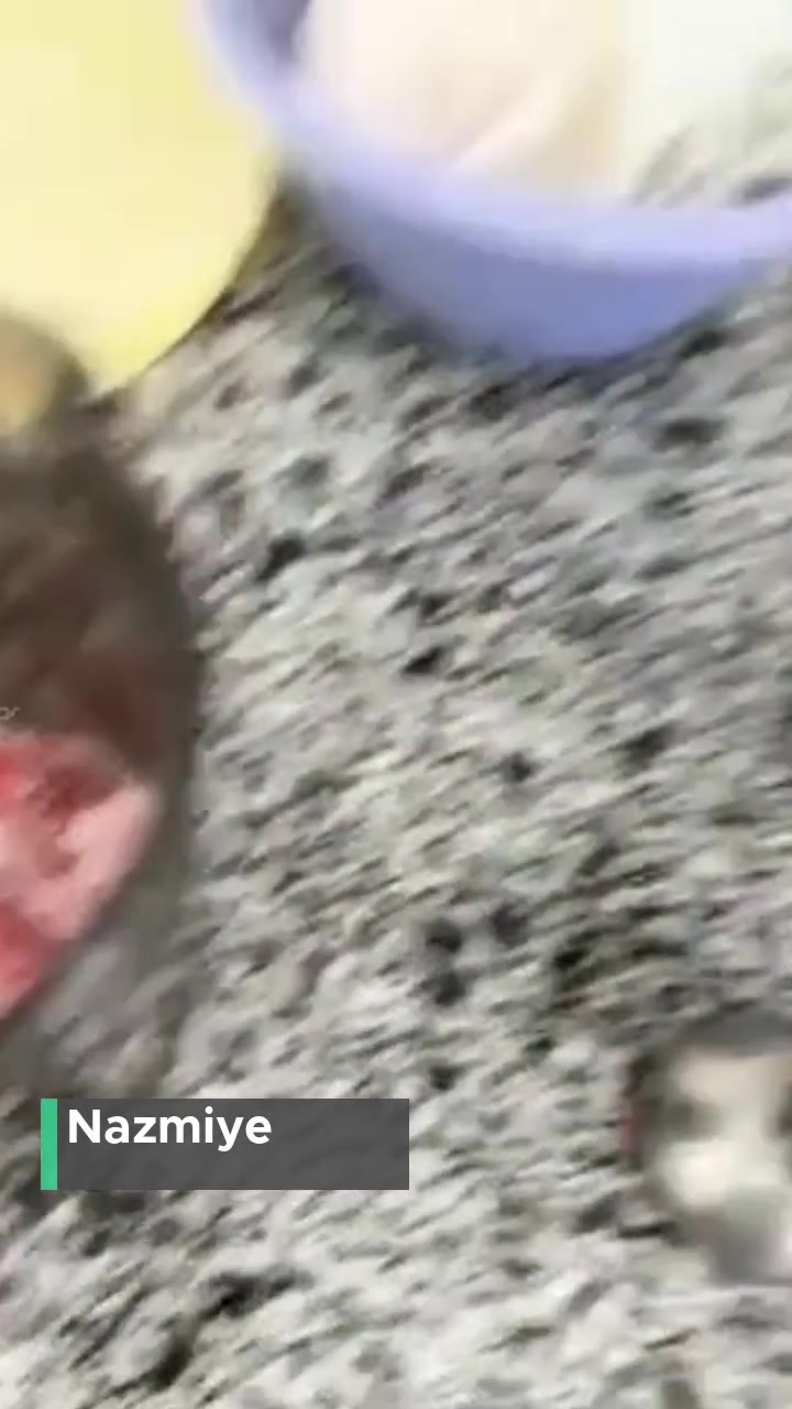 Korkmaz Blender Başlığı Eridi! videonun kapak resmi