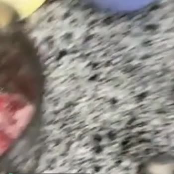 Korkmaz Blender Başlığı Eridi!