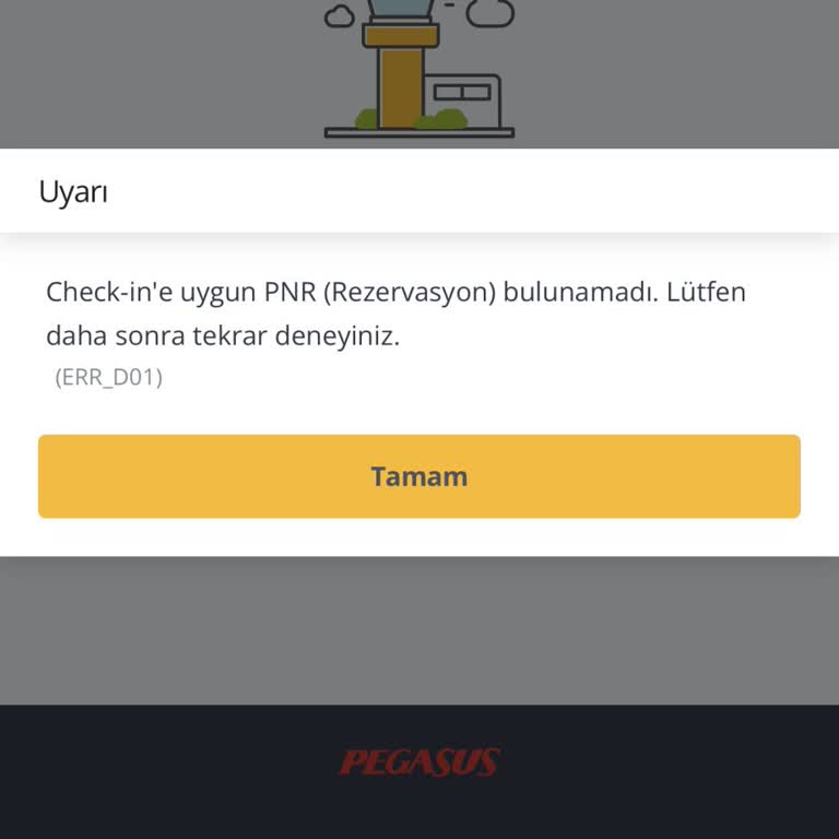 Enuygun.com'dan Alınan Uçak Biletiyle İlgili Check-in Ve Müşteri Hizmetleri Sorunu