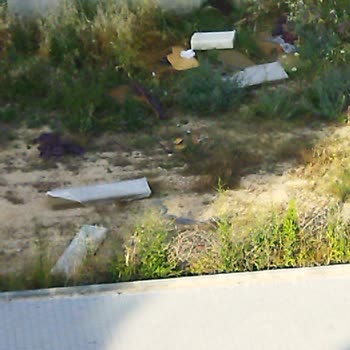 Defalarca Başvuruya Rağmen Temizlik Yapılmıyor!