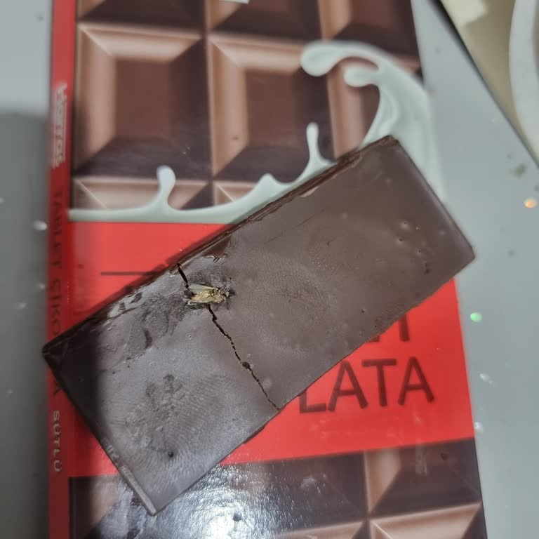 Harras Tablet Çikolatanın İçinden Ölü Sinek Çıkması