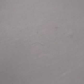 White Country Boutique Hotel Hayatımda Gördüğüm En Kirli Otel