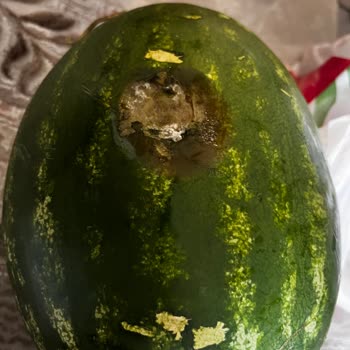 Migros'tan Gelen Çürük Ve Tarihi Geçmiş Ürünler Mağduriyet Yarattı