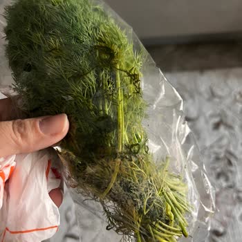 Migros'tan Gelen Çürük Ve Tarihi Geçmiş Ürünler Mağduriyet Yarattı