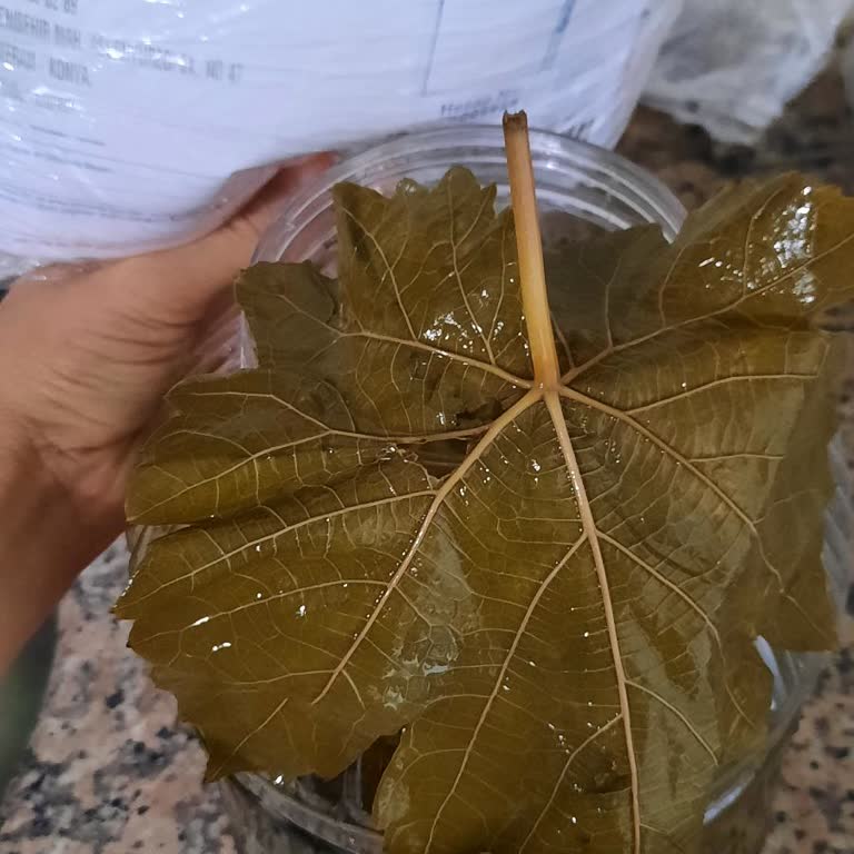 Sipariş Ettiğim Üzüm Yaprakları Beklediğim Gibi Gelmedi