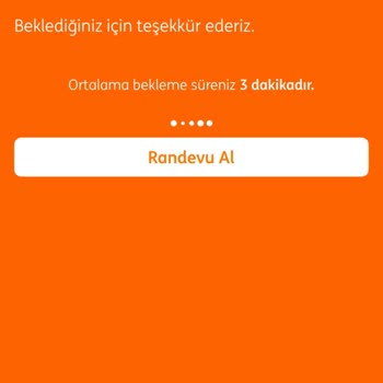 ING Bank'ta Kurumsal Müşteri Olma Sürecinde Ciddi Gecikme Ve İletişim Sorunu