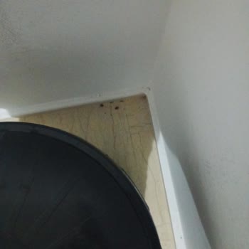 Site Yönetimi Hizmetleriyle İlgili Yaşanan Sorunlar