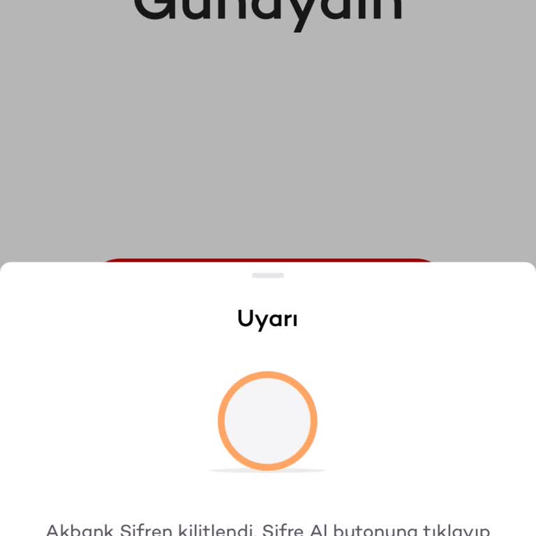 Hesabım Kilitlendi, Şubeye Gitmek Zorunda Kaldım Ve Sorun Çözülmedi
