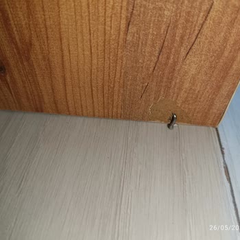 Garanti Kapsamı Dışında Bırakılan Hasarlı Ranza Ve Yetersiz Satıcı Desteği