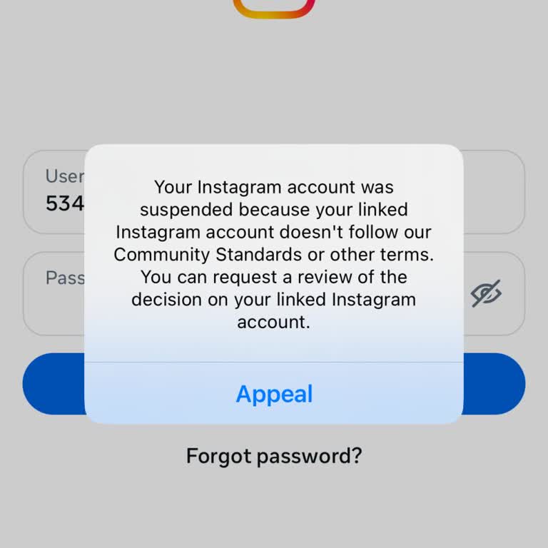 Instagram Hesabım Haksız Yere Askıya Alındı, Anılarımı Kaybetmek İstemiyorum