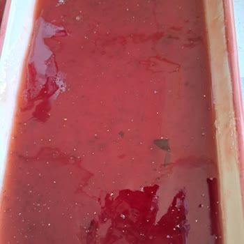 Beklentiyi Karşılamayan Kıvam Ve Meyve Oranı Hayal Kırıklığı Yarattı