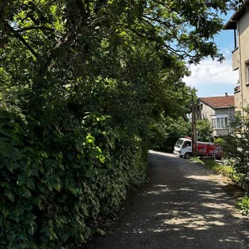 Kartal Belediyesi Yola Sarkan Ağaç Dalları Araçlara Zarar Veriyor