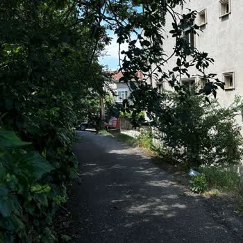 Kartal Belediyesi Yola Sarkan Ağaç Dalları Araçlara Zarar Veriyor