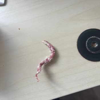 Aldığımız Ekmekten Çıkan İp Çocuklarımızı Riske Attı