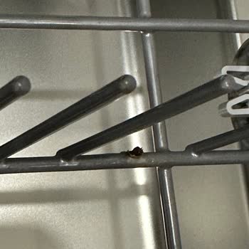 Bulaşık Makinesi Sepetleri 3 Yılda Paslandı, Garanti Kapsamı Dışında Kaldı