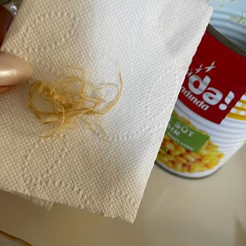 Tada Mısırın İçinden Mısır Püskülü Çıktı, Salatam Ziyan Oldu