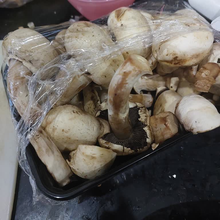 Bozuk Mantar Ve İlgisiz Müşteri Hizmeti Migros Hemen'de Hayal Kırıklığı Yarattı