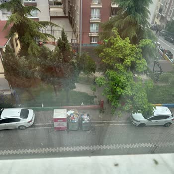 Çöp Konteyneri Nedeniyle Hijyen Ve Koku Sorunu Yaşıyoruz