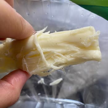 Telli Peynirde Kıl Çıkması Ve Denetim Eksikliği