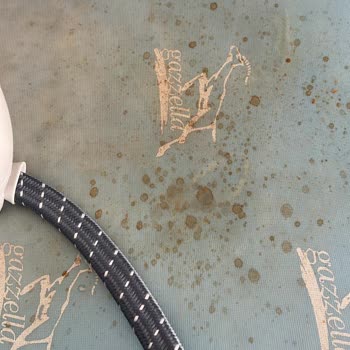 Tefal Buhar Kazanlı Ütü Paslı Su Akıtma Problemi!