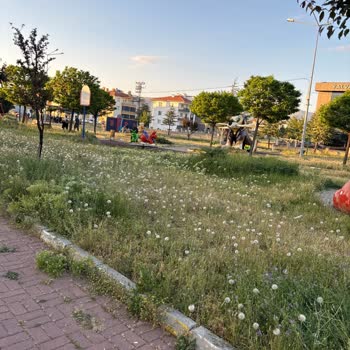 Masal Park'ta Bakımsızlık Çocukların Oyun Alanını Tehdit Ediyor