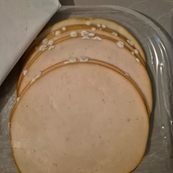 Son Kullanma Tarihi Geçmemiş Piliç Füme Küflü Çıktı Müşteri Hizmetleri Yanıt Vermiyor