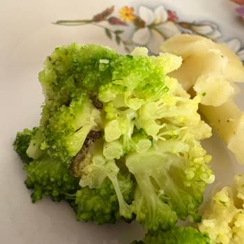 Feast Dondurulmuş Brokolide Leke Ve Solucan Şoku