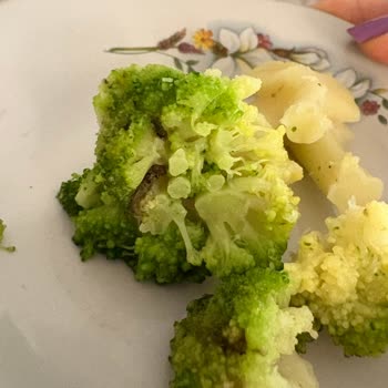 Feast Dondurulmuş Brokolide Leke Ve Solucan Şoku