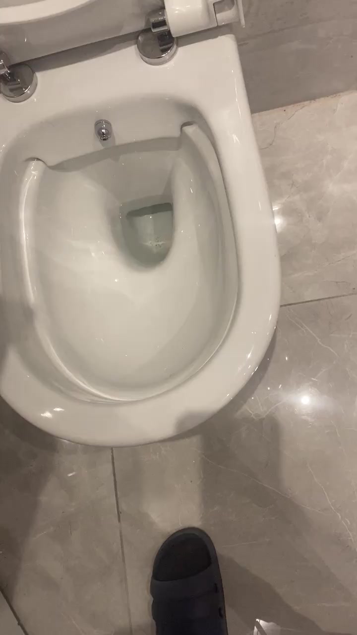 I Replaced My Toilets with Vitra Models—Now Dirty Water Leaks with Every Flush video cover