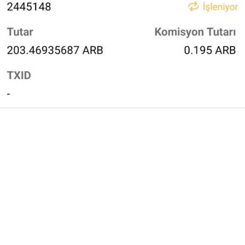 I Still Haven’t Received My Arbitrum Coin Transfer from Bitci.com After 24 Hours