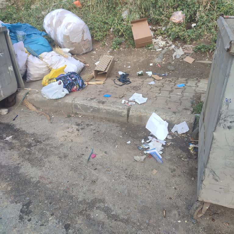 Zümrütevler Mahallesi'nde Yetersiz Çöp Toplama Ve Temizlik Sorunu