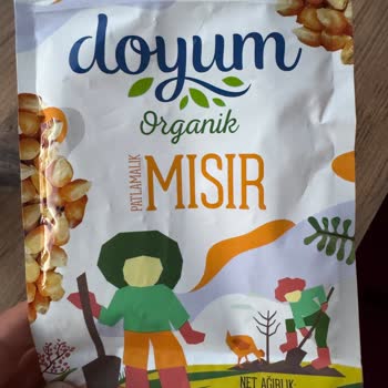 Doyum Organik Mısırda Küf Kokusu Ve Sağlık Riski!
