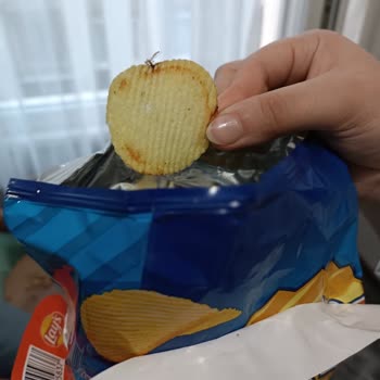 Ruffles Aldığım Cipsin İçinden Böcek Çıktı: Sağlığımız Tehlikede