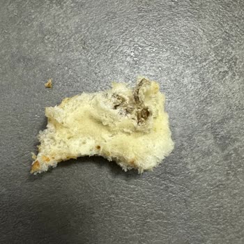 Pendik Vakfıkebir Fırını'nda Hijyen Sorunu!