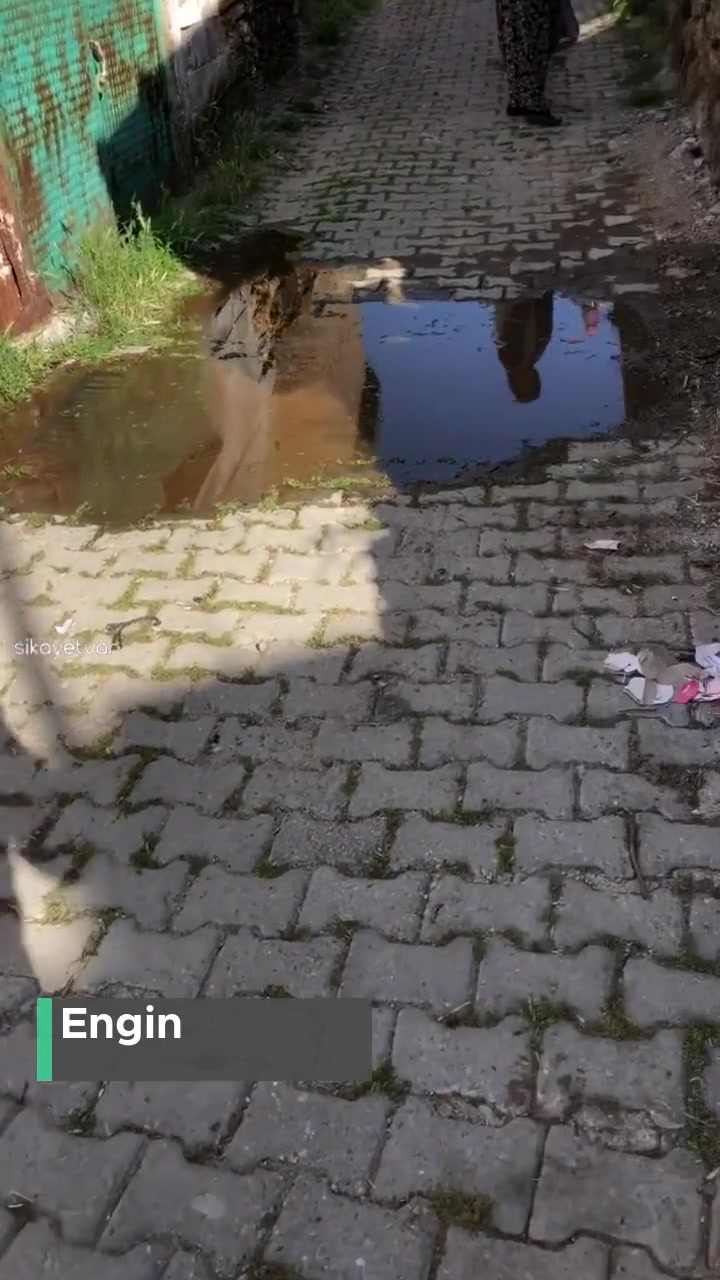 Aydın Büyükşehir Belediyesi Karpuzlu Zabıta Ekiplerin Duyarlı Olması Adına! videonun kapak resmi