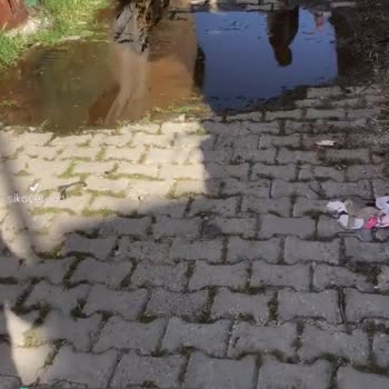 Aydın Büyükşehir Belediyesi Karpuzlu Zabıta Ekiplerin Duyarlı Olması Adına!