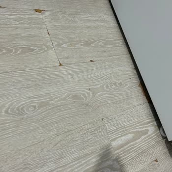 Su Arıtma Cihazı Arızası Sonrası Evimi Su Bastı Mağduriyetim Giderilmiyor