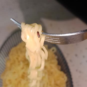 Hazır Noodle İçinde Böcek Bulduk Çocuklarımız Risk Altında