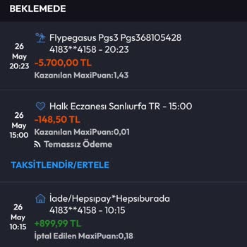 Uçuş Gecikmesi, Yetersiz Çözüm Ve Maddi Zarar