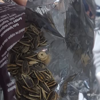 Çekirdek İçinden Salyangoz Kabuğu Çıkması Ve Hijyen Endişesi