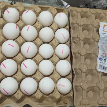Tarım Gıda Tavukçuluk Kod Basılmamış Yumurtalar Satıyor