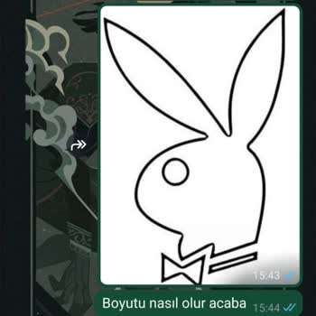 Özel Sipariş Dövme Yerine Yanlış Ürün Gönderildi