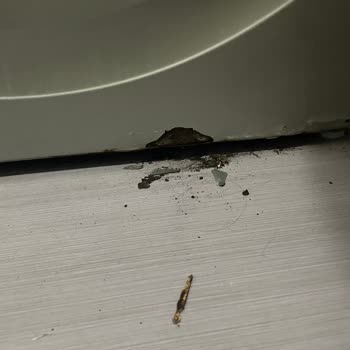 Bosch Çamaşır Makinesi Paslandı, Garanti Kapsamı Dışında Bırakıldım