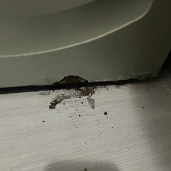 Bosch Çamaşır Makinesi Paslandı, Garanti Kapsamı Dışında Bırakıldım