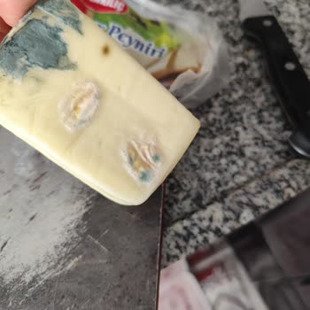 Markalı Kaşar Peynirinin Hızla Küflenmesi Ve Hayal Kırıklığı