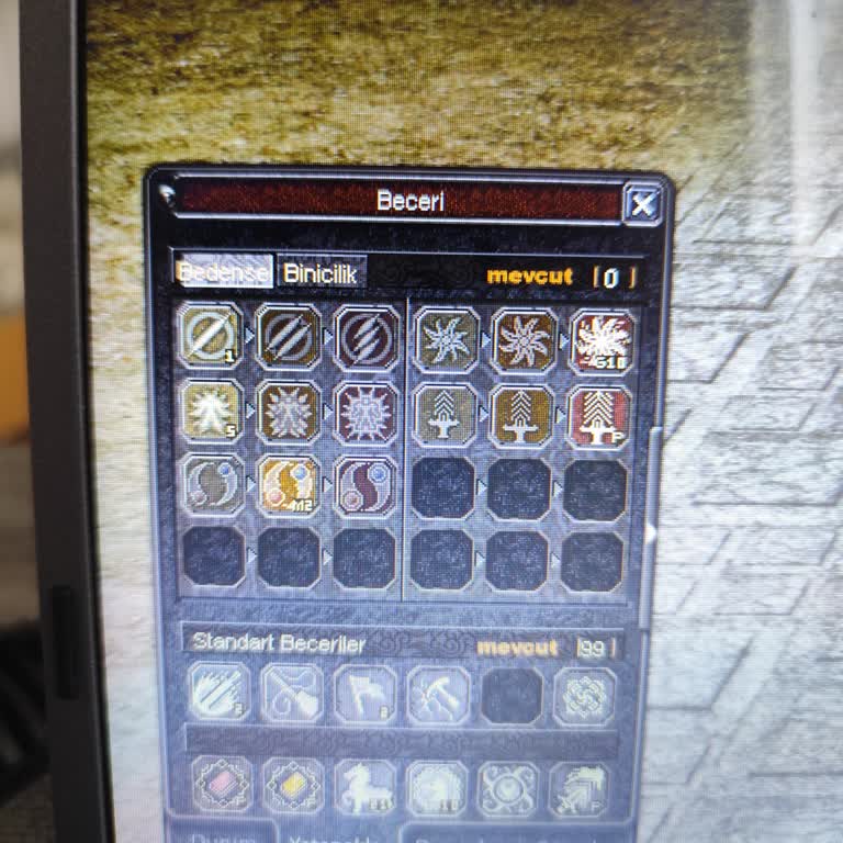 Satın Alınan Skill Sıfırlama Ürünü Çalışmıyor, Destek Alınamıyor