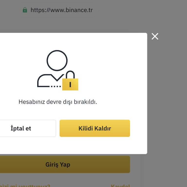 Hesabım Bilgim Dışında Devre Dışı Bırakıldı, Fonlarıma Erişemiyorum